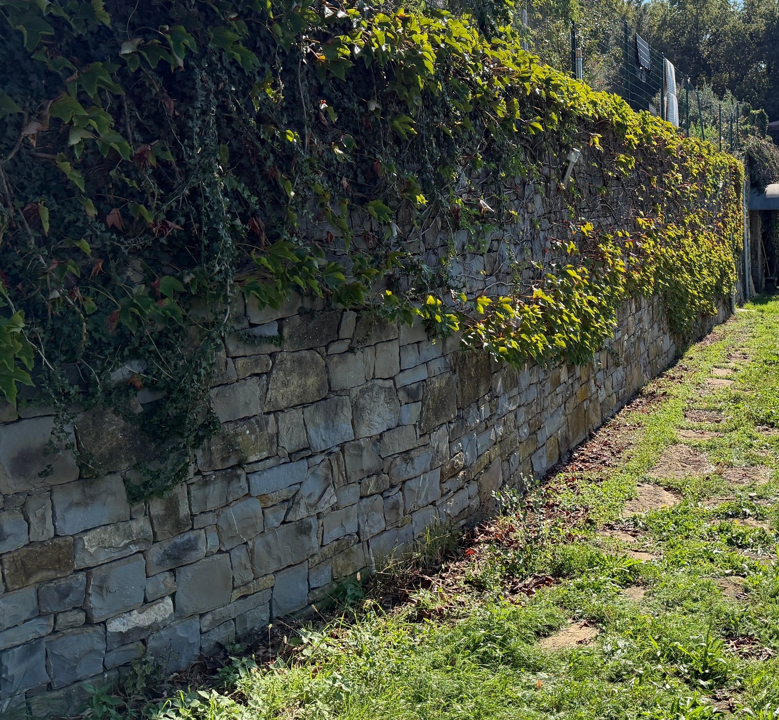 Existing stone wall before the proposed works